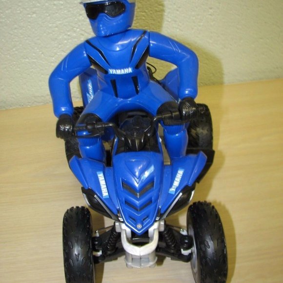 Yamaha Raptor - Picture 4 of 5